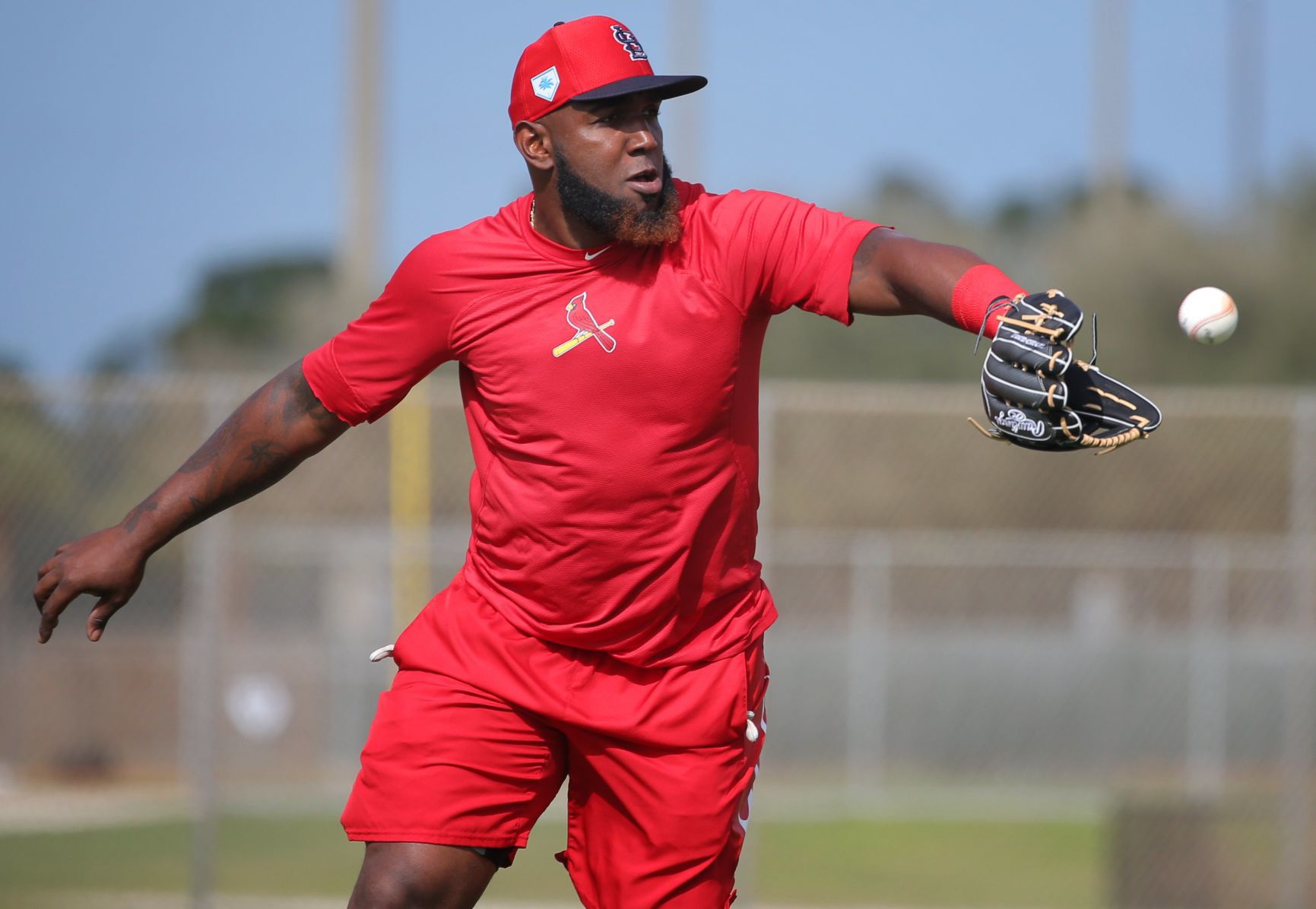 Cardinals spring training continues